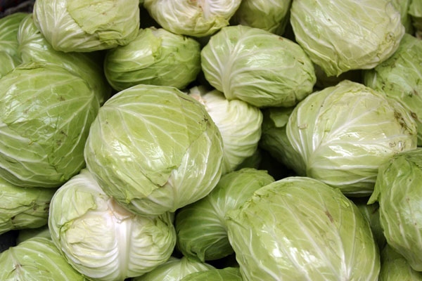 cabbage cabbage