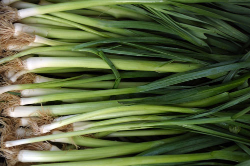 leeks leeks