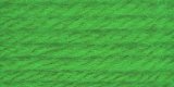 caron rug yarn kelly green